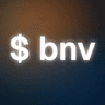 bnv logo